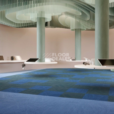 IVC Liberate 543 фото 2 | FLOORDEALER
